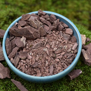Chuchuhuasi | Bark + Resin Extract x30 | Wild Harvest | Maytenus Laevis