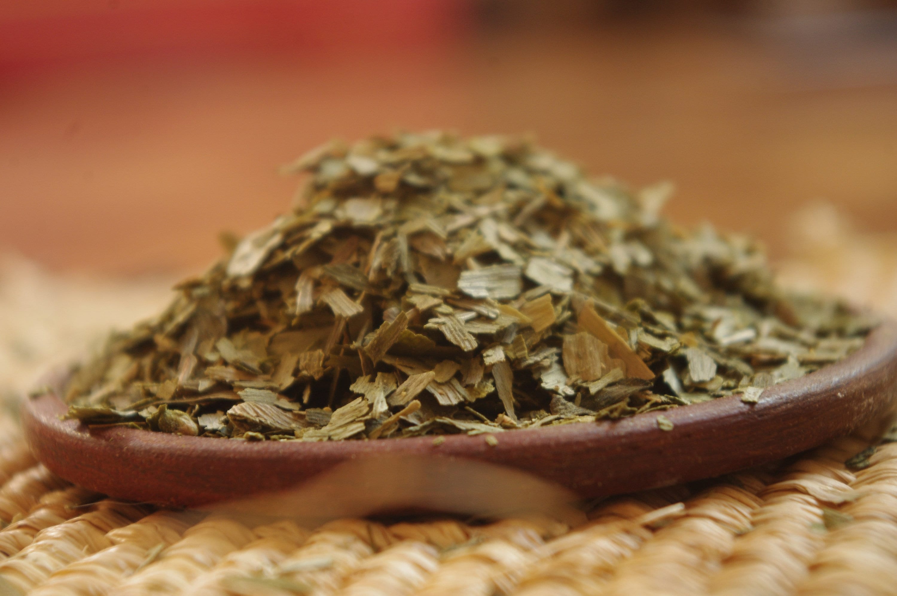 Ginkgo Biloba Biologique | Arbre Fossile de Maidenhair