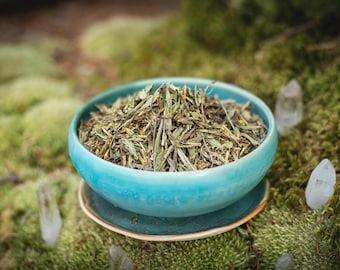 Organic Mexican Tarragon | Tagetes Lucida | Marigold | Yauhtli