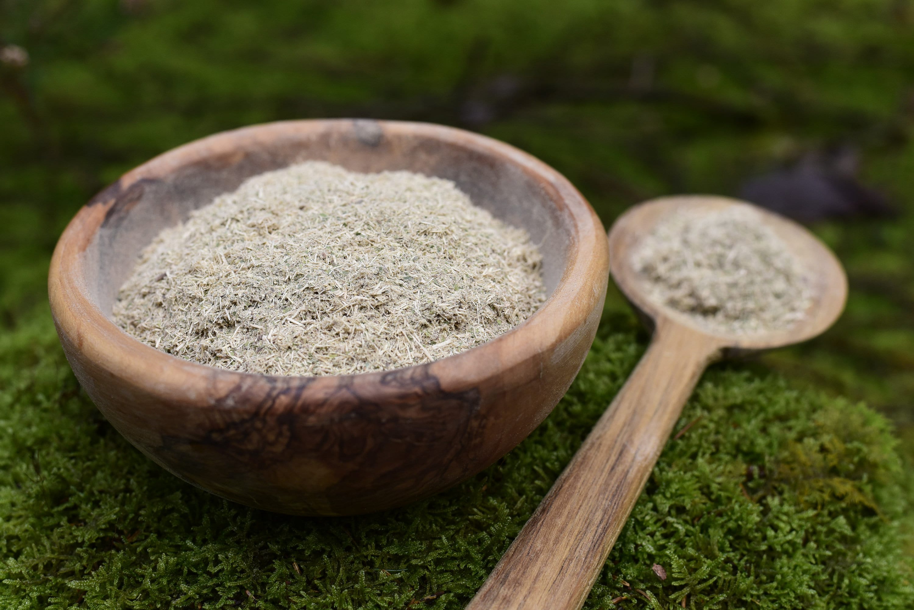 殿様ウサギエボリ種子30粒 Yopo seeds - Etsy 日本