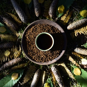Chaga | Colheita Selvagem Altai Sibéria | Cogumelo da Imortalidade | Inonotus Obliquus | Chá de Bem-Estar de Inverno - Dream Herbs Temple