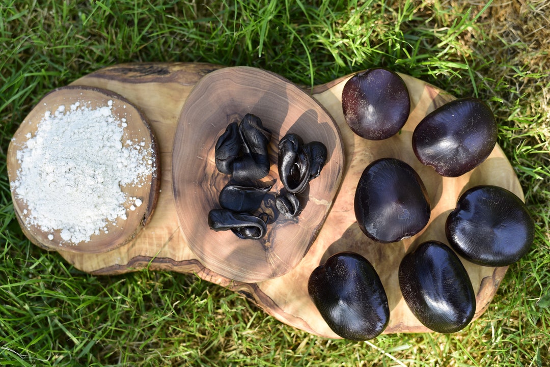 Entada Rheedii | African Dream Bean | Whole Seed, Resin X50 & Powder ...