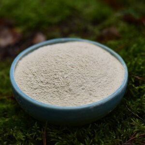 May include: A small blue bowl filled with a light beige powder, sitting on a bed of green moss.