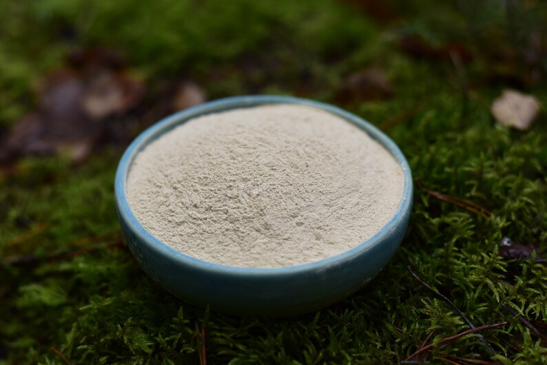 May include: A small blue bowl filled with a light beige powder, sitting on a bed of green moss.