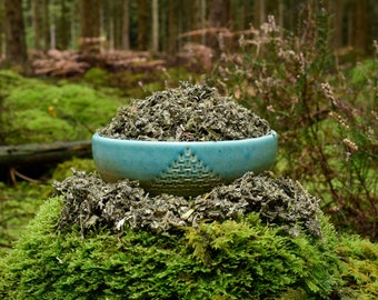 Organic Mugwort | Artemisia Vulgaris | Wild Harvested | Lunar Energy | Intuitive Herb | Visionary & Protective Plant Medicine