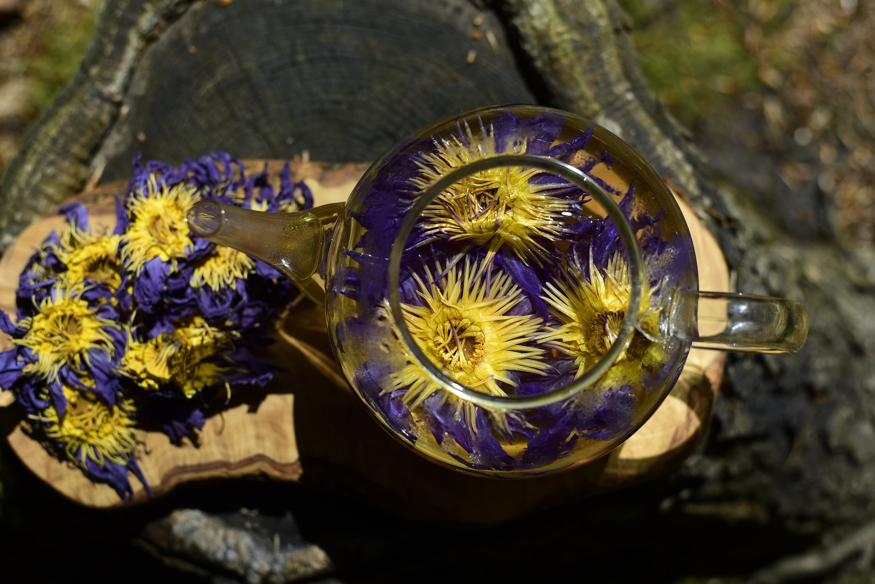 Organic Blue Lotus Flowers & Resin Extract Powder (Nymphaea