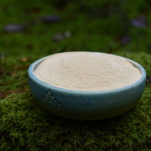 May include: A light beige powder in a blue ceramic bowl with a tree design. The bowl is sitting on a bed of green moss.