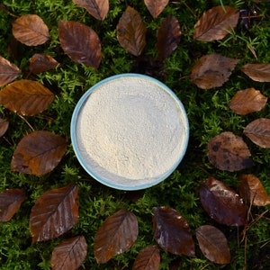May include: A light blue bowl filled with a white powder, surrounded by brown leaves on a bed of green moss.
