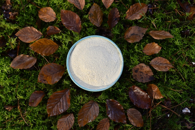 May include: A light blue bowl filled with a white powder, surrounded by brown leaves on a bed of green moss.