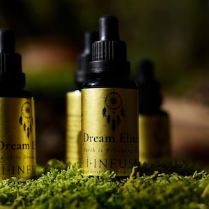 Dream Elixir | Herbs for Lucid Dreaming | 7 Plant Teachers | Dream Teachers | Dream Herbs Temple