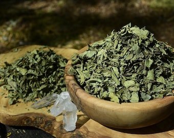 Calea Zacatechichi | Herbe de rêve mexicaine | Récolte sauvage | Rêve lucide | L'herbe à rêves | Temple aux herbes de rêve