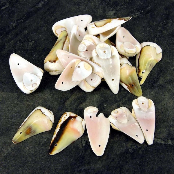 20 drilled craft seashells: triangle shell beads for jewelry