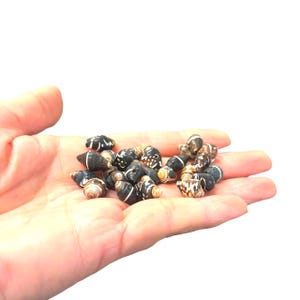 Drilled craft shells: beach jewelry making supplies 48 shells