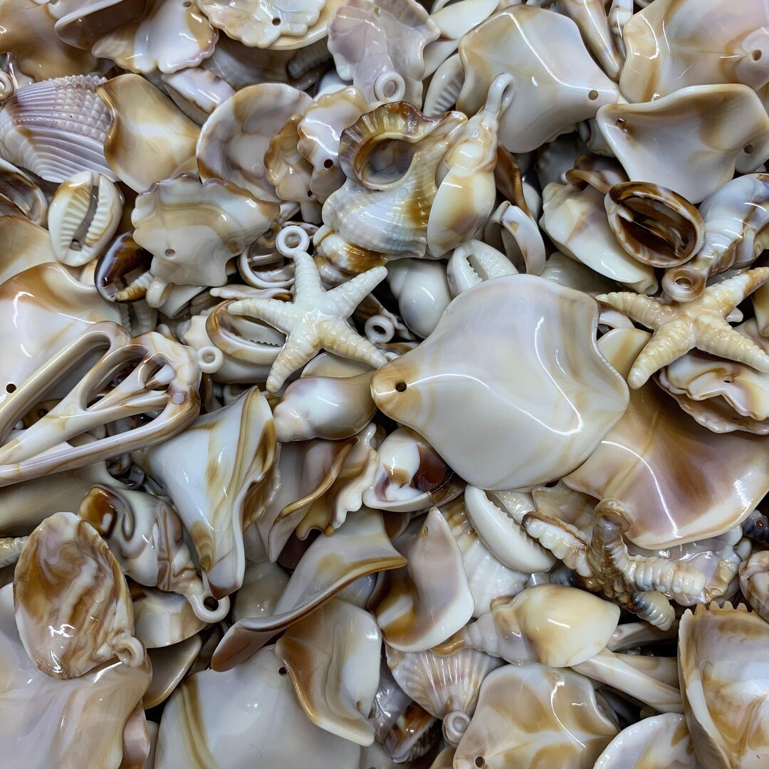 Shells, Decorations, Drilled Acrylic Craft Beads, Jewellery Craft 25 ...