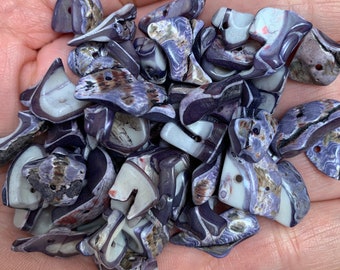 50 x Drilled Purple Craft Shells Pieces Seashells Craft & Beads Jewellery SH17