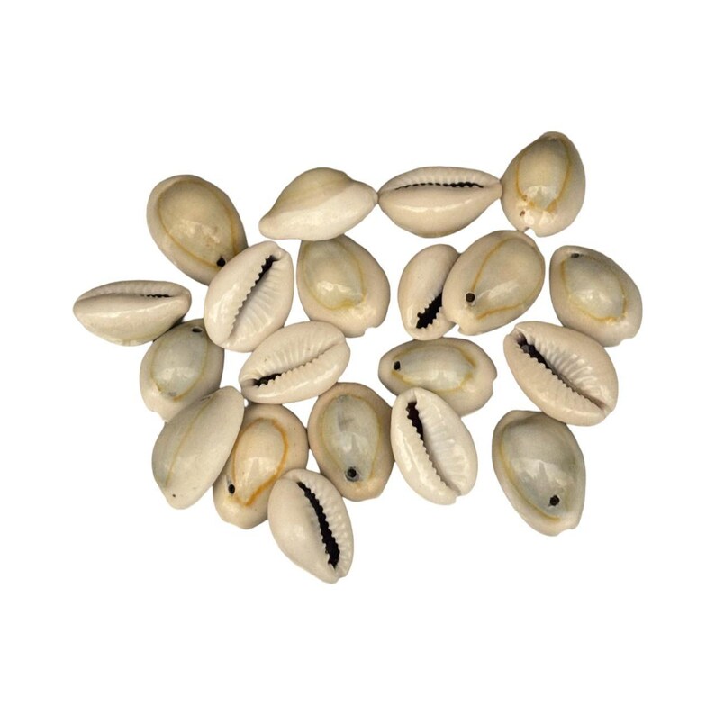 20 cowrie shells: drilled natural seashells for jewelry & macrame, sh22 image 3
