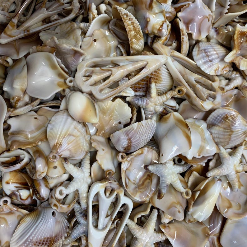 Shells, Decorations, Drilled Acrylic Craft Beads, Jewellery Craft 25 ...