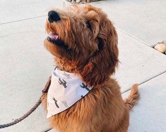 Dog Bandana | Cactus | Southwest Desert Bandana | Scrunchie Add-On Option | Match Your Dog