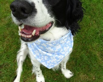 Dog Bandana | Blue with White Petals | Match Your Dog