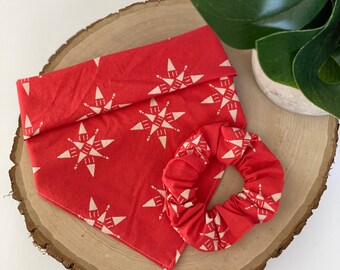 Compassion Ruby | Christmas Dog Bandana and Scrunchie | Match Your Dog