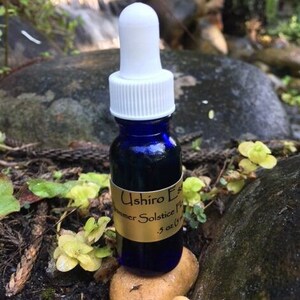 Esencia floral del solsticio de verano, autocuidado, nuevos comienzos, conexión, crecimiento espiritual, rejuvenecimiento, manifestación