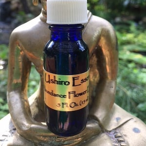 Abundance Flower Essence, Prosperity, Rebirth, Opportunities, Gifts