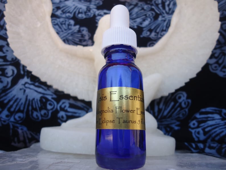 Magnolia Flower Essence Solar Eclipse New Moon Taurus Etsy