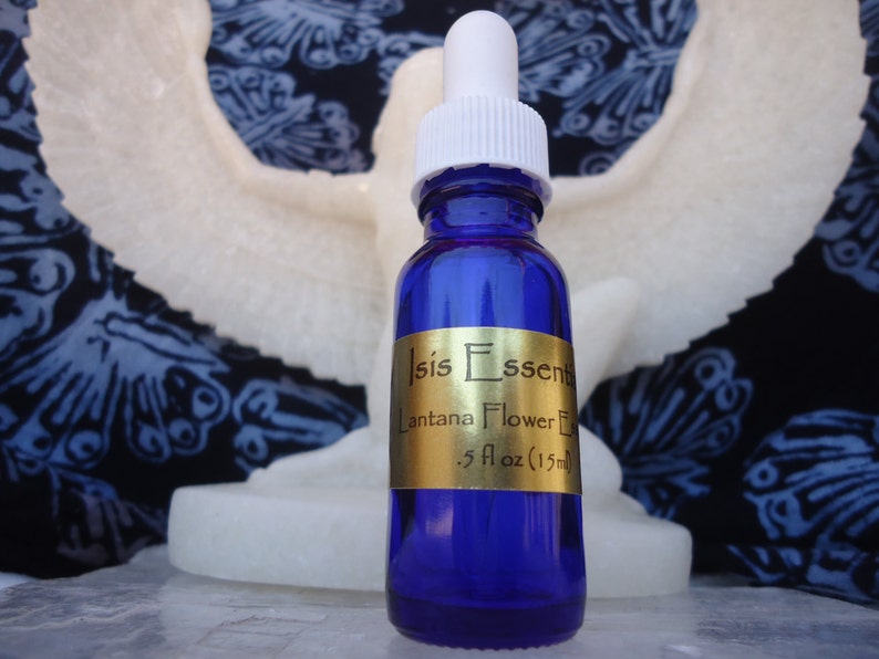 Lantana Flower Essence Sexual Healing Addictions Psychic Etsy