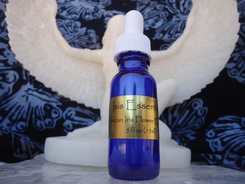 African Iris Flower Essence SelfExpression Creativity Etsy