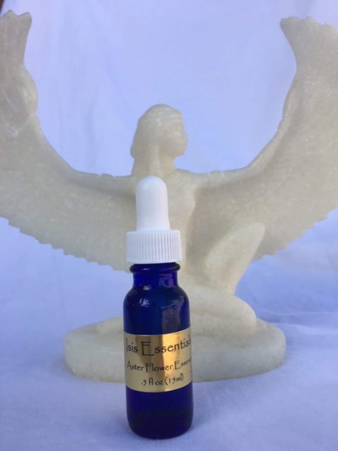 Aster Flower Essence Courage Multitask Productivity Self Etsy