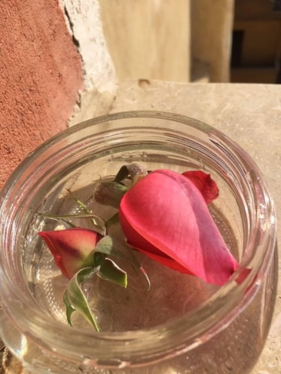 Buy Egyptian Rose Flower Essence, Full Moon Leo, Pyramids of Giza, Heart  Activation, Freedom, Joy, High Vibration, Lunar Eclipse Online in India