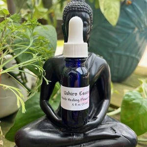 Womb Portal Healing Flower Essence, Divine Feminine, Sacral Plexus, Heart Chakra, Throat Chakra, Family Lineage