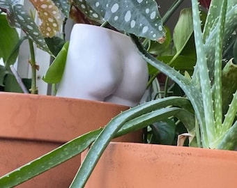 The Booty of the Venus of Knidos, Vase