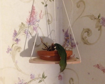 Maple Plywood Plant Hanger for Orchids, Custom Sizes