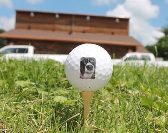 Your Image on a Golf Ball Custom Logo Personalized Picture Your Dog Pet on a Golf Ball Gag Gift Fathers Day Gift Wholesale Bulk Your Design!