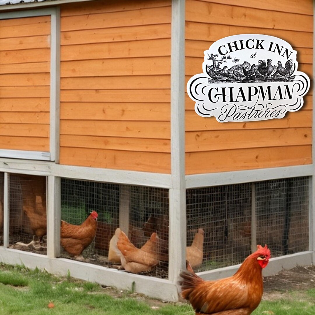Pvc Chicken Signs Custom Shape UV Printed Plastic Sign • Farmhouse Chicken Sign ...