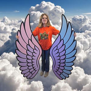 May include: A pair of large, flat, decorative angel wings featuring a gradient color scheme. The left wing transitions from pink to purple, while the right wing transitions from purple to blue. Both wings have bold black outlines and detailed feather patterns.