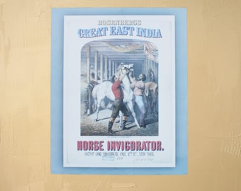 Vintage Rosenberg’s Horse Invigorator Sign | 1800s Equine Medicine Poster Art | Antique Stable Decor | Old New York Advertising Print