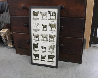 Types of Cows Cow Lover Humor Car Joke Style Body Type Farmhouse Farm Country Livestock Print Black and White Framed Home Decor Rustic
