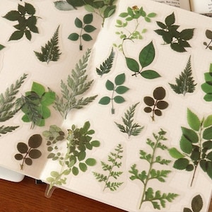 Autocollants en plastique transparent PET, feuilles pressées, fleurs, boutons de fleurs, réalistes, imperméables, transparents, articles de papeterie, scrapbooking, bullet journal, travaux manuels
