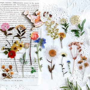 20 peças de adesivos de plástico transparentes de flores prensadas em PET, florais, botões, realistas, à prova d'água, transparentes, estacionários, scrapbook, bullet journal, artesanato