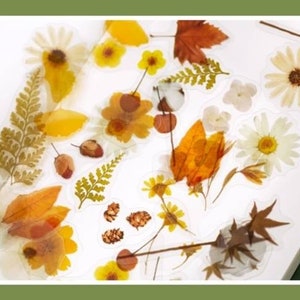 40 autocollants en plastique à fleurs pressés pour animaux de compagnie transparents, fleurs, boutons de fleurs, réalistes, imperméables, transparents, articles de papeterie, album de coupures, journal
