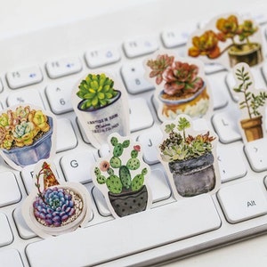 50 succulentes, cactus, plante d'intérieur, Instagram, griffonnage, autocollant mignon aquarelle. Bullet journal, scrapbooking, collage, papeterie, Instagram