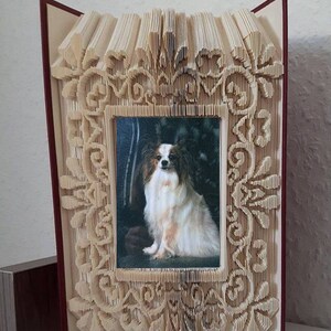 May include: A book art frame made from a book with pages folded into a decorative design. The frame is holding a photo of a papillon dog.
