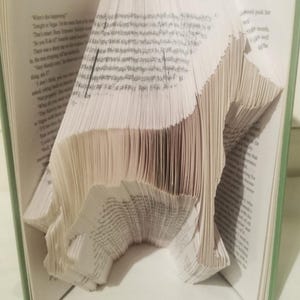 May include: A book with pages folded into the shape of a dog. The book is open and the folded pages are visible. The book is on a white surface.