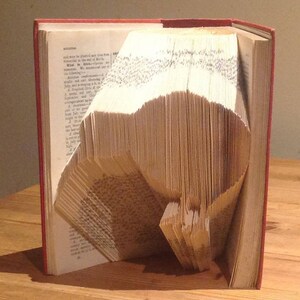 Kiwi MMF Book Folding Pattern (Digital Download PATTERN ONLY)