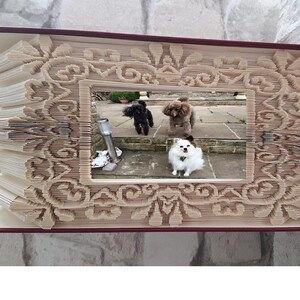May include: A book-shaped picture frame made of folded paper, with a decorative design and a window showing three dogs. The dogs are a black and white miniature schnauzer, a brown poodle, and a white poodle.