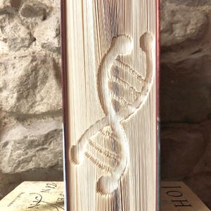 Puede incluir: Un libro con una encuadernación roja se ha doblado en forma de doble hélice de ADN. El libro está de pie sobre una mesa.