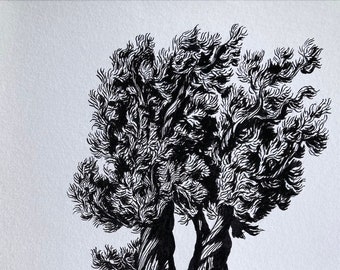 Enebro occidental - Pintura original en tinta - 5x7 pulgadas