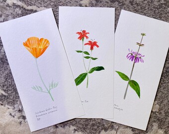 California Foothill Wildflowers Triptych - Original Watercolor Paintings 4” x 8”